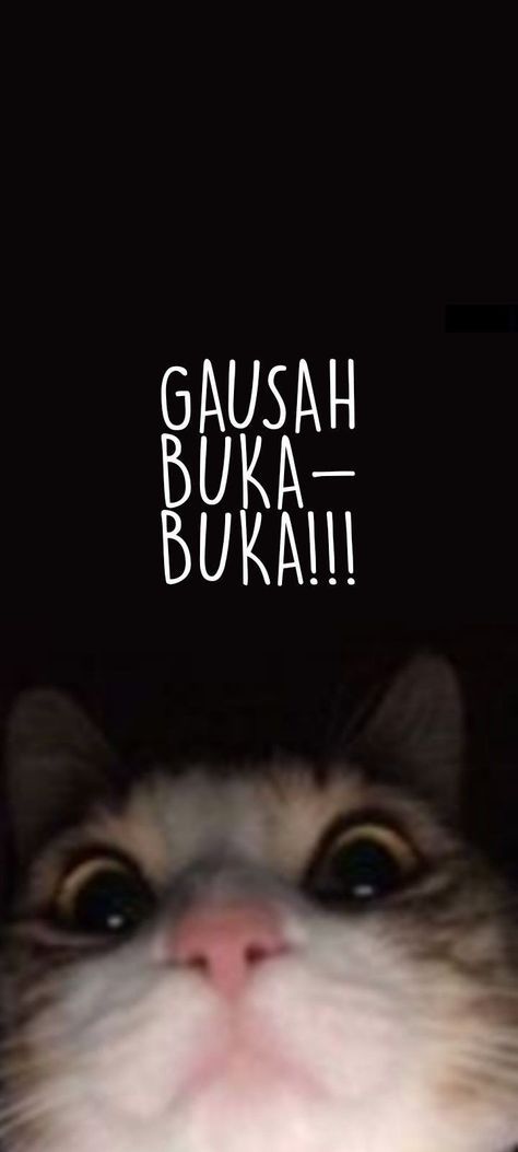 Muka Lelaki, Naruto Wallpaper Iphone, Wallpaper Wa, Funny Cat Wallpaper, Wallpaper Hp, Spongebob Wallpaper, Funny Iphone Wallpaper, Whatsapp Wallpaper, Cute Cat Wallpaper