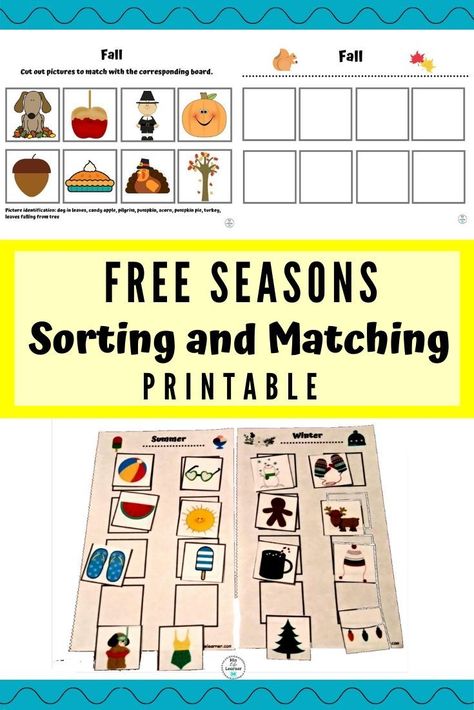 Great activity to work on sorting and matching skills while learning about the seasons. Little ones will match pictures with the correct season. This can also be used as a cut and glue activity. The boards come in full size or half size. The half size is perfect for busy bags! Seasons Sorting Activity Free Printable, 4 Seasons Preschool Activities, Seasons Printable, Seasons Preschool, Preschool Weather, Kids Work, Free Preschool Printables, Seasons Activities, Cut And Glue