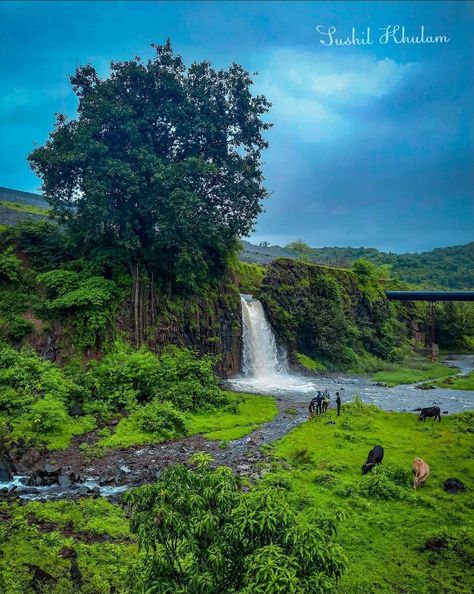 Kokan Maharashtra Photography, Kokan Maharashtra Village, Industrial Art, Rainy Days, Nature Photography, India, Photography, Quick Saves, Art