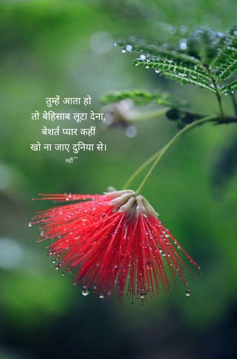 Short Poetry, Hindi Poems, Shayari Urdu, Love Couple Images, Shayari Hindi, Urdu Shayari, Couples Images, Cute Love Couple Images, Cute Love Couple