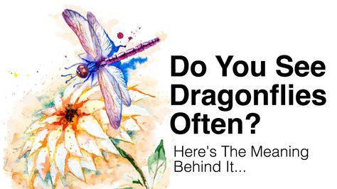 Pay attention to the animals and signs around you, as they carry important messages. If you see dragonflies often, here's what it means... Dragonfly Meaning Spiritual, Dragonfly Meaning, Dragonfly Symbolism, Dragonfly Quotes, Dragon Flys, Animal Spirit Guides, Dragonfly Dreams, Signs From The Universe, Dragonfly Art