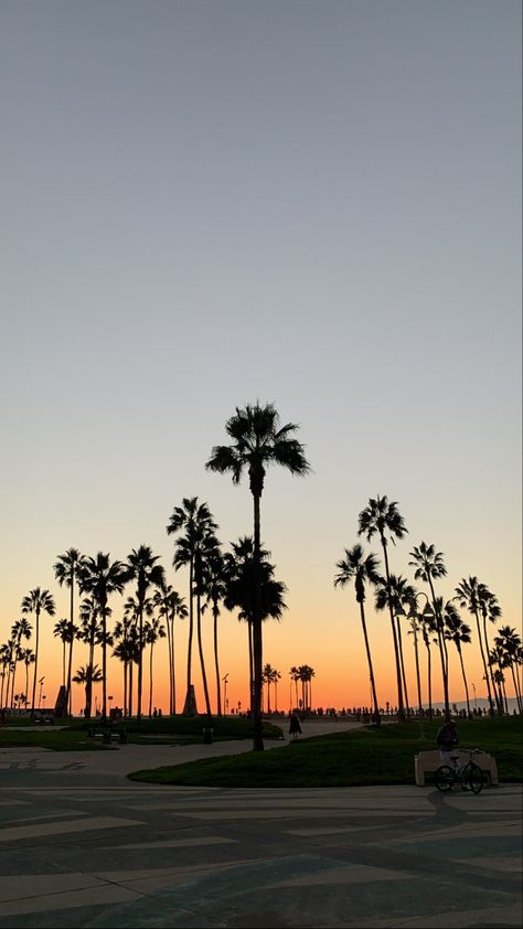 Los Angeles Beach Night, Los Angeles Aesthetic Night Party, La Sunset Aesthetic, La Wallpaper Los Angeles Wallpapers, Calming Lockscreen, La Wallpaper Iphone, Los Angeles Vibes Aesthetic, Los Angeles Aesthetic Wallpaper, Los Angeles Background