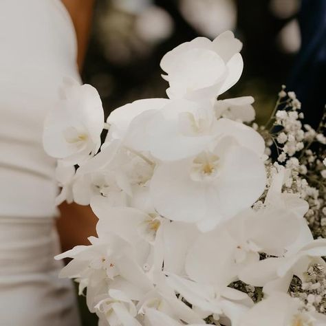 Suikerbekkie Fotografie on Instagram: "This bouquet 🫶🏻🤌🏻" Wedding Planning, How To Plan, On Instagram, Instagram