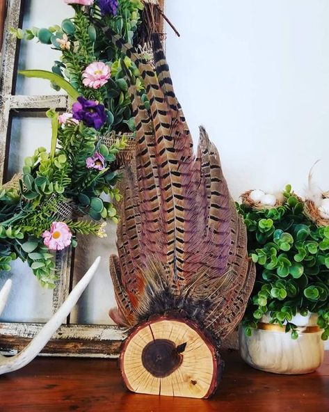 Pheasant Tail Mount, Hunting Mounts, Pheasant Mounts, Pheasant Feather Decor, Deer Mount Ideas, Ringneck Pheasant, Hunting Ideas, Animal Mounts, Farm Cabin