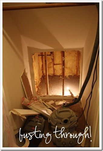 Demolition Work to expand Closet Under the stairs Stairs Mudroom, Crawl Space Storage, Replace Stairs, Door Under Stairs, Mini Mudroom, Deck Stair Lights, Mudroom Entry, Stair Wall Decor, Space Under Stairs