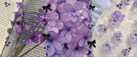 Purple Notion Cover, Purple Aesthetic Header, Twtr Header, Beige Korean, Notion Banner, Long Background, User Ideas, Purple Header, Green Header