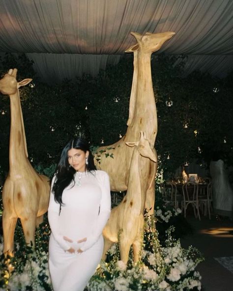 Kylie Jenner Baby Shower, Celebrity Baby Shower, Jenner Pregnant, Kylie Pregnant, Kylie Jenner Pregnant, Kylie Baby Shower, Instagram Kylie Jenner, Kylie Jenner Fotos, Kylie Jenner Baby