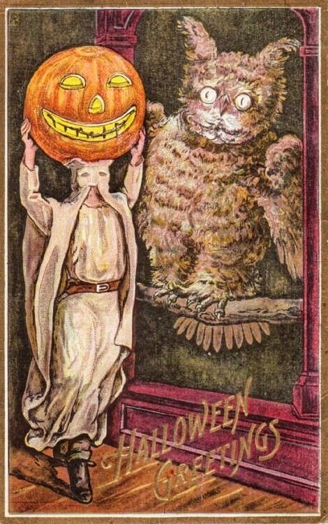 Halloween Antiques, Vintage Halloween Cards, Photo Halloween, Halloween Post, Last Halloween, Chat Halloween, Carte Halloween, Halloween Owl, Jack O'lantern