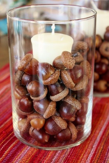 40+ Beautiful Inexpensive Fall Decorating Ideas to Update Your Home 11 Deco Noel Nature, Dried Acorns, Acorn Crafts, Fall Deco, Autumn Crafts, Fall Projects, Thanksgiving Crafts, Fall Holidays, Nature Crafts