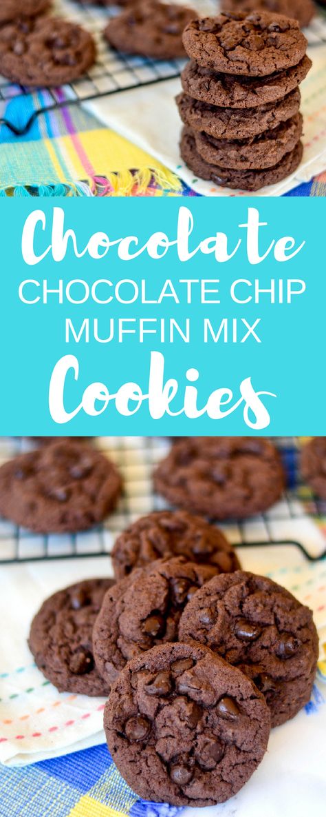 Chocolate Chocolate Chip Muffin Mix Cookies Muffin Mix Cookies, Chocolate Chip Muffin Mix, Holiday Desert Recipes, Muffin Mix Recipe, Triple Chocolate Muffins, Easy Impressive Dessert, Tin Recipes, Favorite Cookie Recipe, Muffin Mix