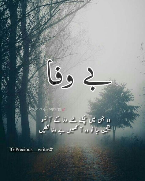 Baba Bulleh Shah Poetry, Nice Poetry, Shayari In Urdu, Love Quotes In Urdu, Poetry Hindi, Iqbal Poetry, Punjabi Poetry, Urdu Love Words, Sufi Poetry