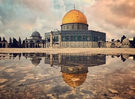 Baitul Muqaddas, Islamic Photo, College Graduation Photos, Dome Of The Rock, Landscape Pictures, Islamic Images, Beautiful Nature Pictures, Hd Photos, Nature Pictures