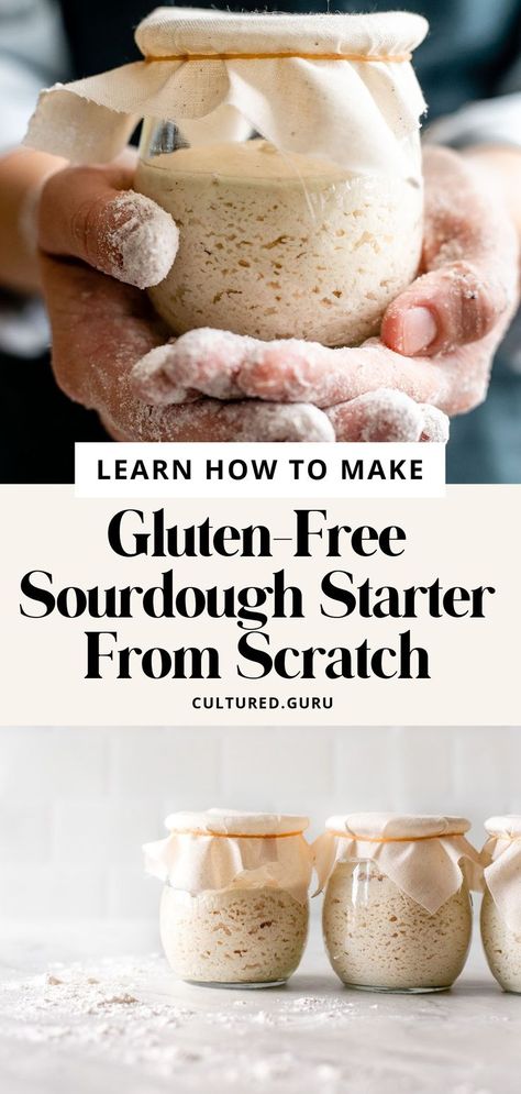 Pin on Sourdough Recipes Sourdough Starter From Scratch, Gluten Free Sourdough Starter, Gluten Free Sourdough Bread, Pan Sin Gluten, Gluten Free Sourdough, Sourdough Starter Recipe, Cloud Bread, Homemade Gluten Free, Gluten Free Dairy Free Recipes