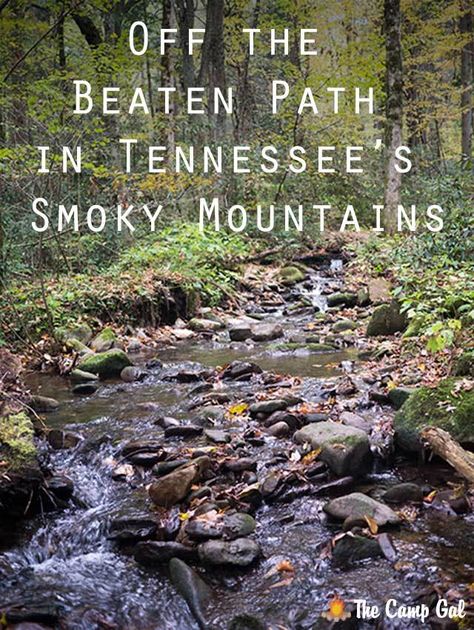 Off the beaten path in Tennessee's Smoky Mountains - The area surrounding Tennessee’s Smoky Mountains has a touristy reputation, but just 30 minutes from the tourist town of Gatlinburg, there’s a small town called Cosby that has a lot to offer. Smokey Mountains Vacation, Tennessee Travel, Camping Places, Tennessee Vacation, Gatlinburg Tennessee, Mountain Vacations, National Parks Usa, Mountain Travel, Great Smoky Mountains National Park