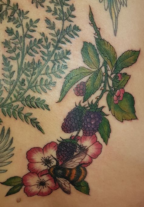 Bee with blackberries Berry Tattoo, Tattoo Bee, Blackberry Tattoo, Honey Suckle, Horse Stuff, Tattoo Idea, Blackberry, Flower Tattoo, Berry