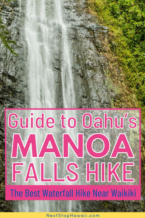 Image of Manoa Falls Waterfall. Text Reads Guide to Oahu's Manoa Falls Hike. The best waterfall hike near Waikiki. Manoa Falls Oahu, Oahu Waterfalls, Oahu Things To Do, Oahu Activities, Manoa Falls, Jungle Waterfall, Hawaii Waterfalls, Oahu Beaches, Waterfall Hike