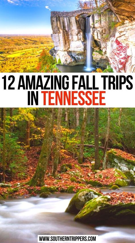 12 Amazing Fall Trips in Tennessee Fall In Tennessee, Fall Tennessee, Tennessee Fall, Things To Do In Fall, Fall Foliage Trips, Visit Tennessee, Fall Foliage Road Trips, Autumn Things, Travel Autumn