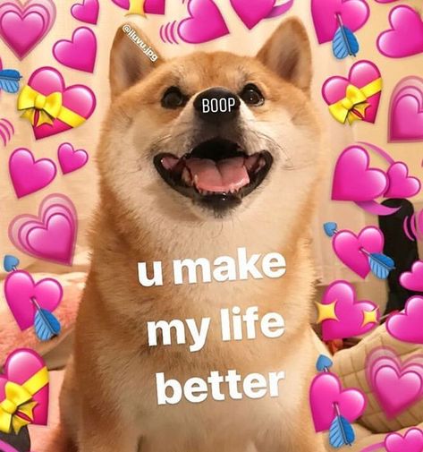 Gf Memes, Wholesome Pictures, Dog Meme, Cute Love Memes, I Love My Girlfriend, Cute Messages, Lovey Dovey, Relationship Memes, Cute Memes