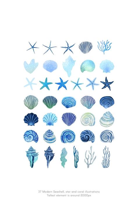 Corals Illustration, Plakat Design Inspiration, Blue Seashells, Ocean Shells, Beach Wall Collage, 달력 디자인, Idee Cricut, Watercolor Ocean, Whatsapp Wallpaper