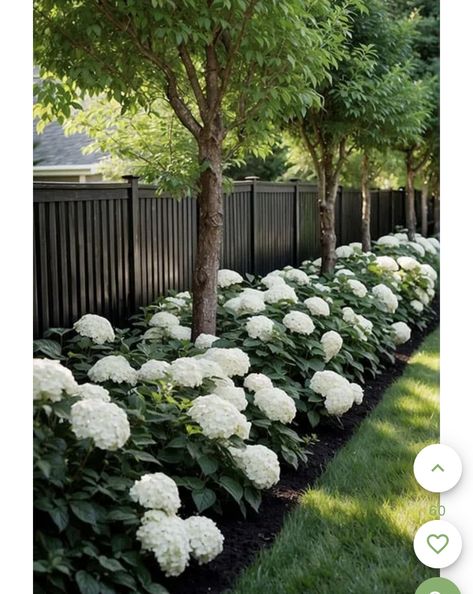 Sloped Fence Landscaping, Small Front Yard Landscaping Ideas Minimalist, Front Yard Landscaping Small Area, Side Yard Garden Design, Hydrangea Landscaping Along Fence, Hydrangeas Along Fence, Backyard Landscaping Wooded Area, Hydrangea Along Fence, Minimalist Landscaping Front Yard