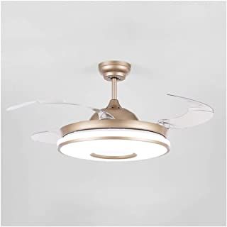 Retractable Ceiling Fan, Fan Chandelier, Accessories Wall, Lights Ceiling, Gold Kitchen, Master Bed, Home Buying Tips, Lighting Accessories, Lighting Ceiling