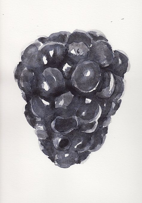 Blackberries Illustration, Blackberry Watercolor, Brewery Ideas, Black And White Watercolor, Fruits Drawing, Food Sketch, Watercolor Fruit, White Watercolor, Fruit Illustration