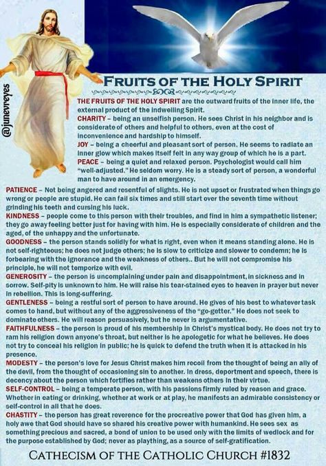 Fruits Of The Holy Spirit Catholic, Holy Spirit Prayer Catholic, Fruits Of The Holy Spirit, Holy Souls In Purgatory, Gifts Of The Holy Spirit Catholic, Come Holy Spirit, Holy Spirit Prayer, Catholic Beliefs, Bible Study Lessons