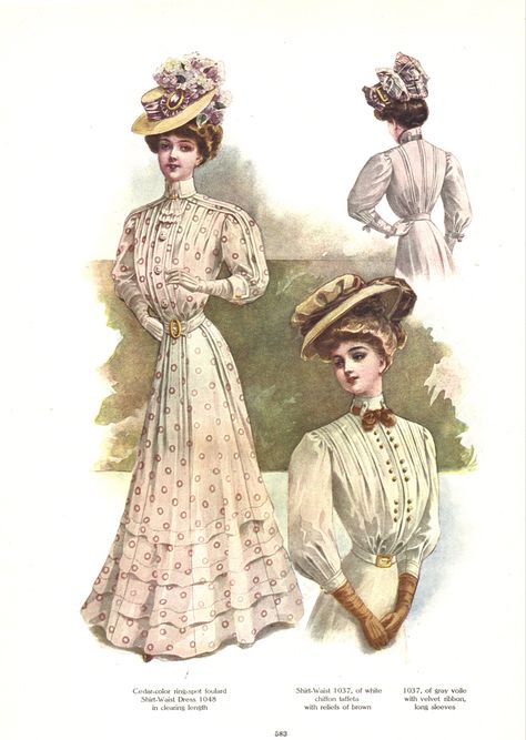 1900 Fashion Plate, Edwardian Day Dress, Edwardian Era Dress, 1900s Dress, Dress 1900, Afternoon Party, Edwardian Era Fashion, 1900 Fashion, Vintage Prairie Dress