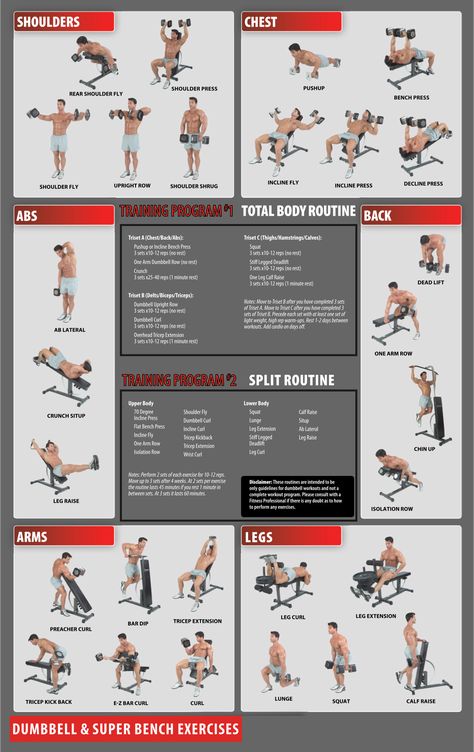 Dumbbell Workouts Exercise Charts Free Dumbbell Full Body Workouts, Dumbbell Superset Workout, Free Weight Workout For Men, Gym Workout Chart For Men, Printable Workouts For Gym, Weight Lifting Workouts For Men, Dumbell Workout For Men, Dumbbell Workout For Men, Weight Lifting Chart