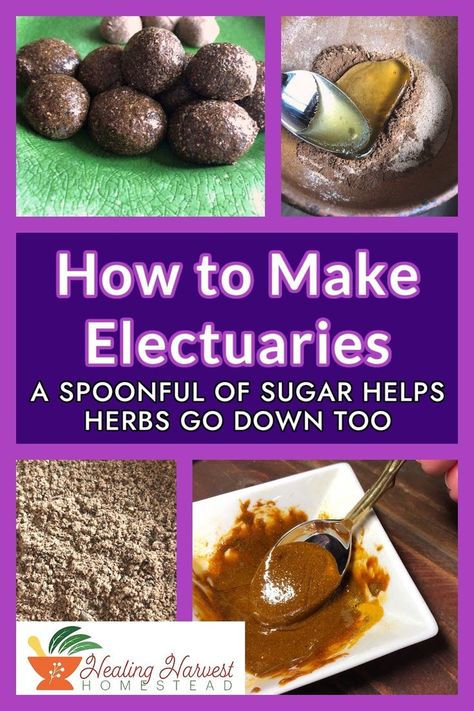 Some of my loved ones hate the taste of herbs! Instead of trying to force it down their throats, instead I went for a spoonful of sugar, or electuaries rather! Electuaries are a sweet great tasting way to get your herbs! I've even included my liver support electuary recipe! #herbalremedies #electuaries #naturalmedicine #naturalsugars #homemademedicine Herbal Candy, Liver Cleanse Juice, A Spoonful Of Sugar, Liver Support, Herbal Tinctures, Paleo Lunch, Emergency Food, Dehydrated Food, Paleo Breakfast