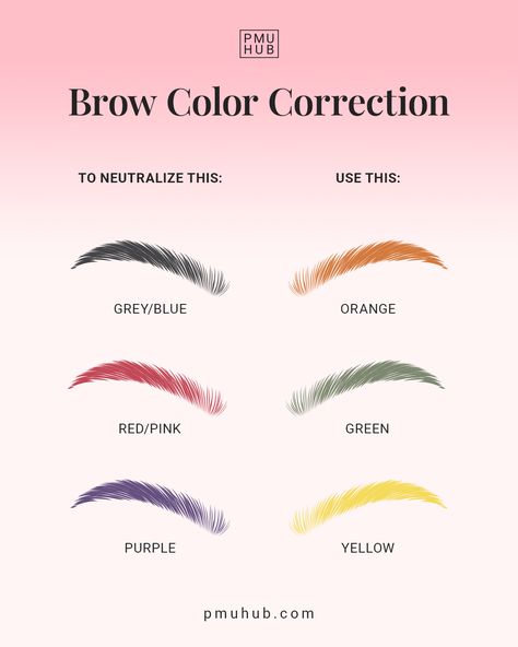 Brow color correction guide Microblading Eyebrows Training, Mircoblading Eyebrows, Ombre Eyebrows, Eyeliner Techniques, Eyebrow Design, Henna Brows, Permanent Makeup Eyebrows, Flawless Makeup Application, Brow Color