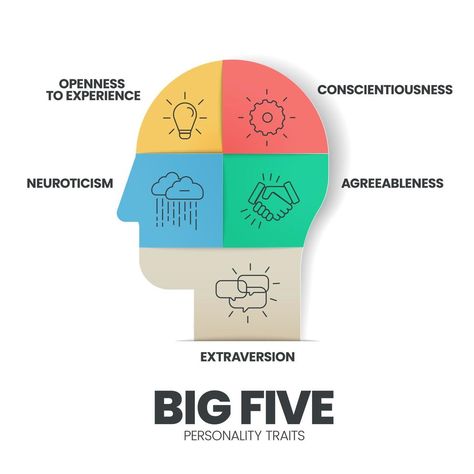 Big Five Personality Traits infographic has 4 types of personality such as Agreeableness, Openness to Experience, Neuroticism, Conscientiousness and Extraversion. Visual slide presentation vector. Types Of Personality, 4 Personality Types, Big Five Personality Traits, The Big Five, Slide Presentation, Brain Training, Personality Traits, Personality Types, Vector Free