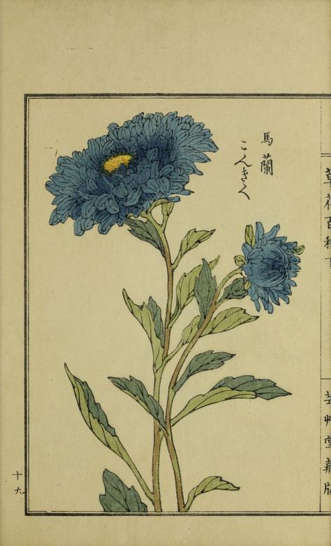 Cotton Textiles, Woodblock Print, Blue Flower, Vintage Wall, Vintage Wall Art, Chrysanthemum, Internet Archive, Antique Vintage, Wall