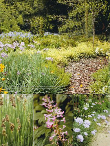 This soft, cottage-style garden designed by Michelle Seddon of Green Creations uses swathes of indigenous plants, such as agapanthus, wild g... South Africa Garden Ideas, South African Gardens Landscaping, Indigenous Gardens South Africa, South African Indigenous Gardens, South African Gardens, Alabama Gardening, Wild Garlic Plant, Garden Ideas South Africa, Fynbos Garden