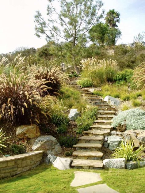 Slope Landscaping Ideas, Landscape Hillside, Sloping Garden Ideas, Stone Pathway Ideas, Steep Backyard, Steep Gardens, Sloping Garden, Slope Landscaping, Pathway Ideas