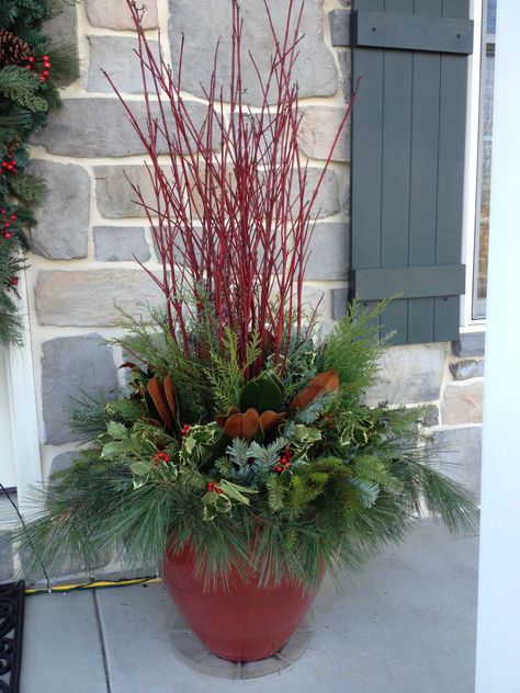 Winter, Christmas container garden, red pot, red twig dogwood, magnolia leaves, evergreen, variegated holly Red Dogwood, Winter Container Gardening, Red Twig Dogwood, Christmas Urns, Outdoor Christmas Planters, Twig Dogwood, Holiday Planter, Christmas Pots, Christmas Planters