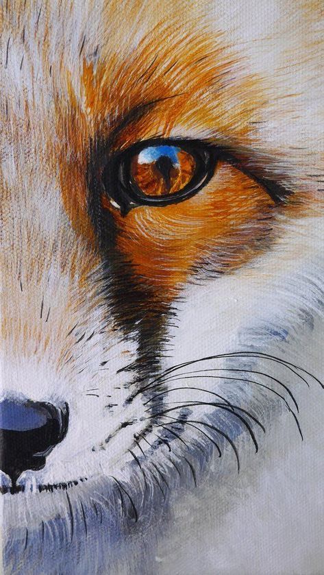 Small Acrylic Painting, Fox Artwork, Art Fox, Fox Pictures, Fox Painting, Pet Fox, Painting Media, Fox Art, Arte Animal