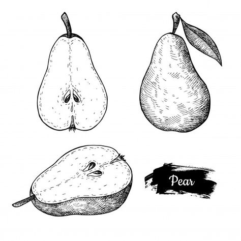 Sketch Fruit, Pear Drawing, Vegetable Drawing, Fruit Tattoo, Pear Art, Sketching Tips, Fruits Drawing, Pear Fruit, Doodle Tattoo