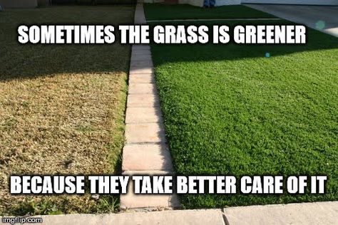 You can also take a proper care of your garden. Hire a landscaping professionals at  (727) 202-9588 Lawn Care Humor, Large Fairy Garden, Lawn Care Business Cards, Grass Is Greener, Lawn Care Business, Landscaping Business, Sustainable Landscaping, Funny Puns Jokes, Landscaping With Large Rocks