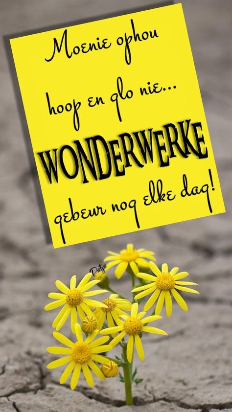 Geestelike Inspirasie Afrikaans, Positiewe Gedagtes, Positiewe Denke, Kombuis Idees, Trust God Quotes, Morning Christmas, African Quotes, Beautiful Good Night Quotes, Thankful Quotes