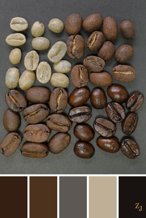 ZJ Colour Palette 416 #colourpalette #colourinspiration Coffee Color Palette, Living Colors, Amazing Decor, Color Harmony, Color Balance, Colour Board, Color Swatch, Coffee Colour, Colour Schemes