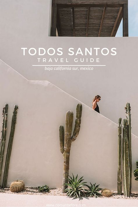 11 Things To Do in Todos Santos, Mexico Mexico Beaches, Explore Mexico, Mexico Travel Guides, Things To, Central America Travel, Visit Mexico, Baja California Sur, Travel Blogging, Latin Food