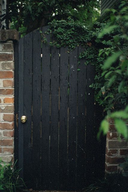 arched top, door knob: new take on cedar fence gate. Garden Design Ideas On A Budget, Decorative Garden Fencing, Goth Garden, Concrete Fence, Brick Fence, Gothic Garden, Budget Design, Front Yard Fence, Cedar Fence