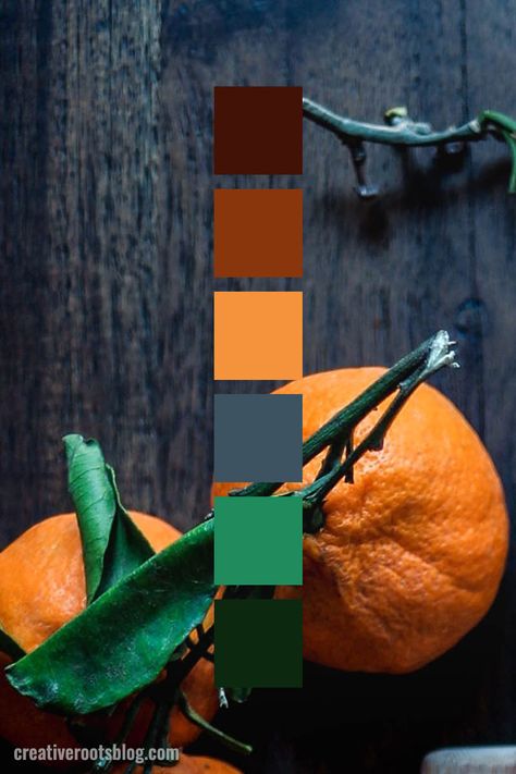 Color palette inspired by bright orange tangerines with deep green leaves. The contrast of the bright orange with the dark grey wood is a modern color scheme. Interior design, graphic design, and more can find inspiration and color ideas from this modern color scheme. Rust red, bright orange tangerine, grey blue, and leafy greens create a color palette with a pop of color. Farmhouse Color Palette, Farmhouse Color, Color Palette Inspiration, Orange Color Palettes, Modern Color Schemes, Farm House Colors, Color Schemes Colour Palettes, Palette Inspiration, Baby Rooms