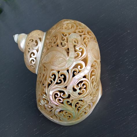 Shell Carving, Carved Pearl, Egg Artistry, Turbo Green, Dreamy Garden, Carved Shell, Conch Shell, Shell Art, Conch