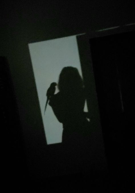 Shadow selfie with bird, shadow picture, aesthetic Parrot Aesthetic, Shadow Selfie, Photoshop Ideas, Selfie Aesthetic, Wild Eyes, Book Board, + Core + Aesthetic, Online Painting, School Activities