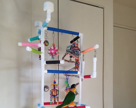 THE INDULGER Floor-Version: Fun Playgym and Playstand for Small and Medium Birds PVC Bird Play Gym, Parrot Play Stand, Diy Bird Toys, Parrot Stand, Parrot Perch, Bird Stand, Diy Birds, Play Gym, Parrot Toys