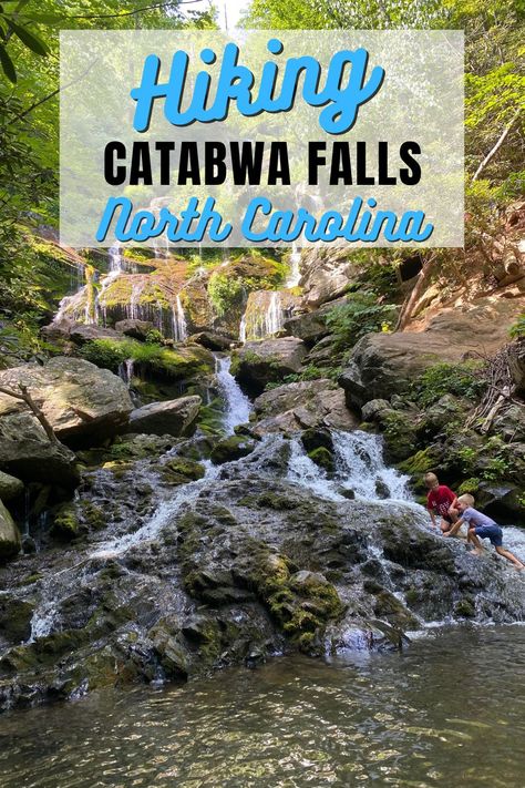 Catawba Falls Nc, Bucketlist 2024, Waterfalls In North Carolina, Asheville Hikes, Nc Waterfalls, Carolina Mountains, North Carolina Travel, Pisgah National Forest, Western Nc