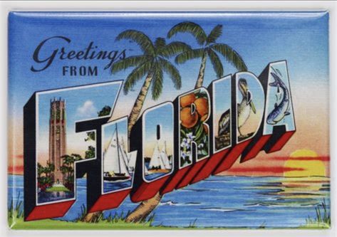 Postal Vintage, Travel Postcard, Vintage Florida, Coastal Design, Postcard Design, Summer Inspiration, Old Postcards, Florida Vacation, Large Letters