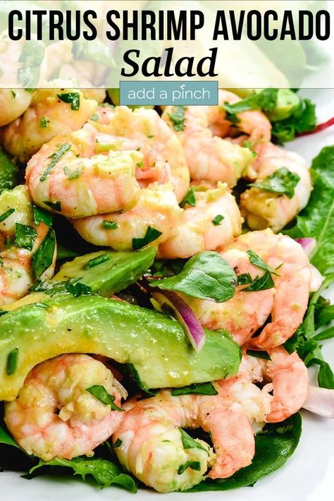 Citrus Shrimp Avocado Salad made with citrus seared shrimp, creamy avocado, and mixed greens topped with a quick citrus vinaigrette dressing! //addapinch.com #citrusshrimpavocadosalad #shrimp #citrusshrimpsalad #salad #addapinch Citrus Vinaigrette Dressing, Prawn And Avocado Salad, Shrimp Avocado Salad Recipe, Citrus Shrimp, Seared Shrimp, Sea Food Salad Recipes, Prawn Salad, Shrimp Avocado Salad, Shrimp Salad Recipes